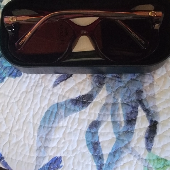 Coach Butterfly Sunglasses - HC8307U - Picture 9 of 14